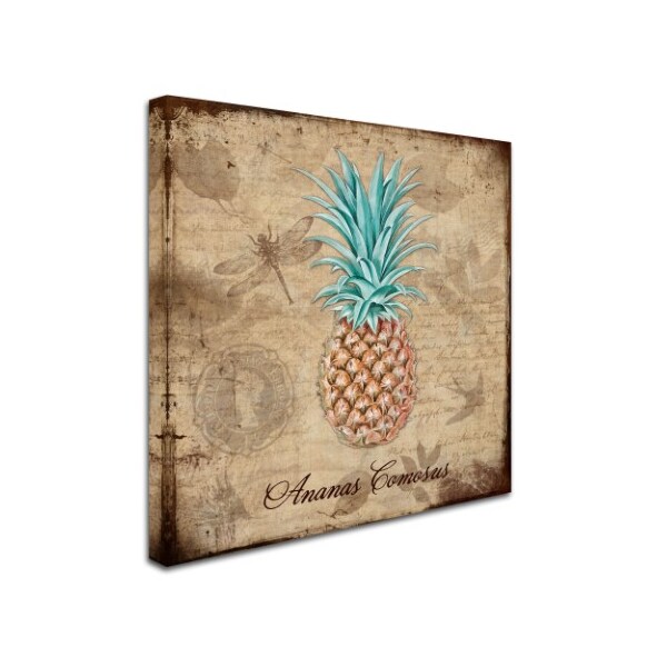 Tina Lavoie 'Ananas Comosus' Canvas Art,35x35